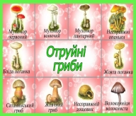 http://ukrsch.klasna.com/uploads/editor/2011/93092/sitepage_39/images/obberezhno_gribi.jpg